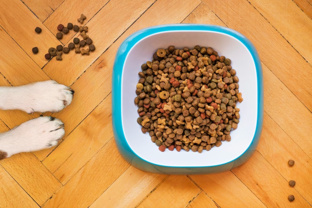 The dog food debacle.